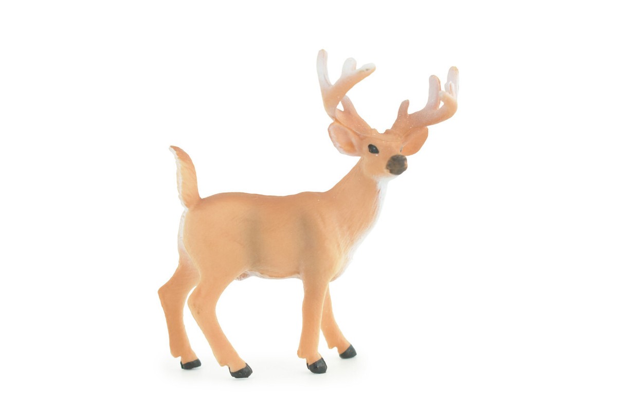 White-tailed Deer Toy, Buck, Realistic Hand Painted, Rubber,4