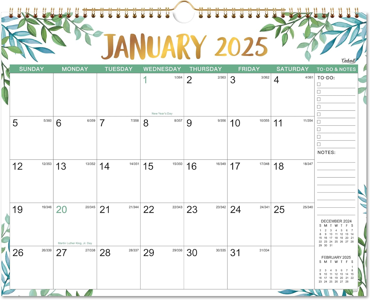 2025-calendar-2025-wall-calendar-with-12-months-from-jan-2025-to-dec-2025-1-ebay
