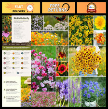 Wildflower Mixed Seeds for Planting - 1 lb, 480,000+ Seeds, Attracts Pollinators 85.99 per gallon
