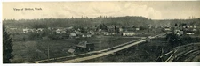 1910 Oversized Panoramic Postcard showing a View of Shelton WA