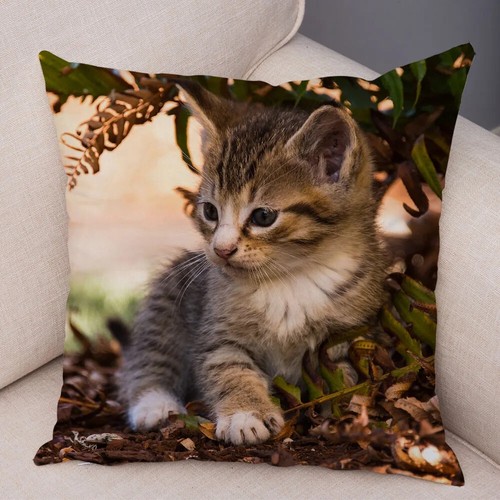 Funny Cute Cat Pillowcase Lovely Pet Animal Print Pillow Case Cushion Cover - Picture 29 of 72