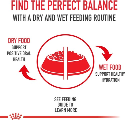 Royal Canin Yorkshire Terrier Adult Dry Dog Food, 2.5 lb bag - Picture 6 of 9