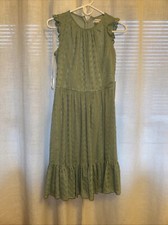 Calvin Klein Embroidered Chiffon Ruffle Sleeve Dress Pale Green Size 2 B70