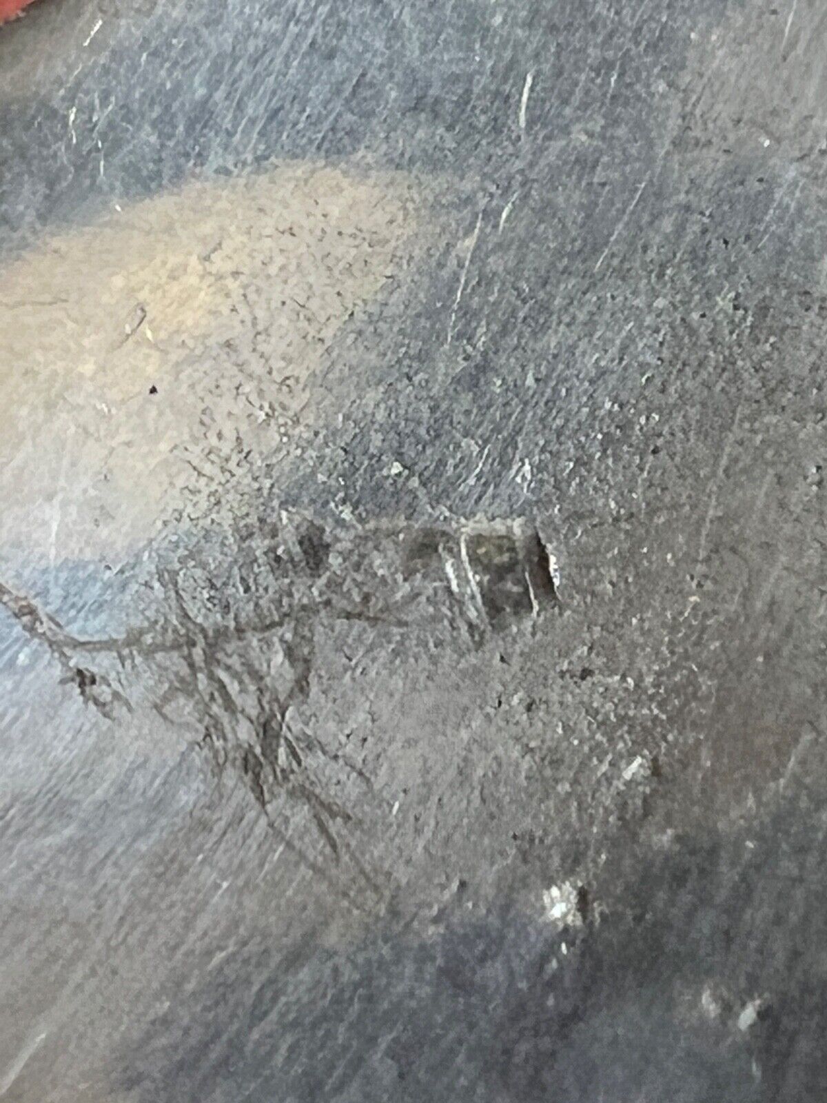 Picture 6 of 7