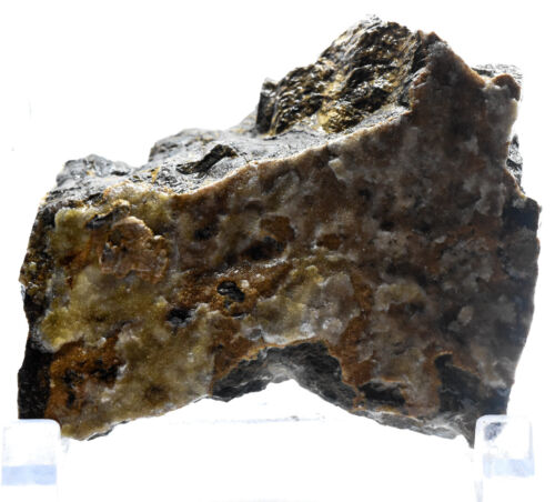 Piedra fósil de algas en racimo mineral natural con bandas ásperas de estromatolito 445 g Perú - Imagen 2 de 6