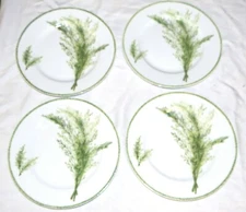 The Cellar Macys FOUR 9 inch Salad Plates - Green Herb decoration (Sage?)
