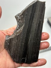 Silver Sheen Obsidian Slab Lapidary Cabbing Knapping Combo ship avail