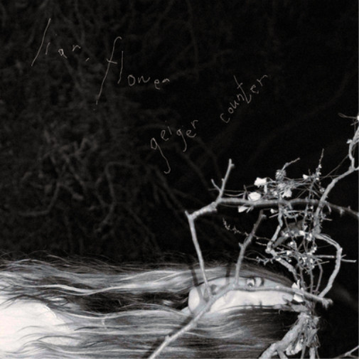 Лжец, Цветочный счетчик Гейгера (винил) 12 альбомов (ИМПОРТ ИЗ Великобритании)