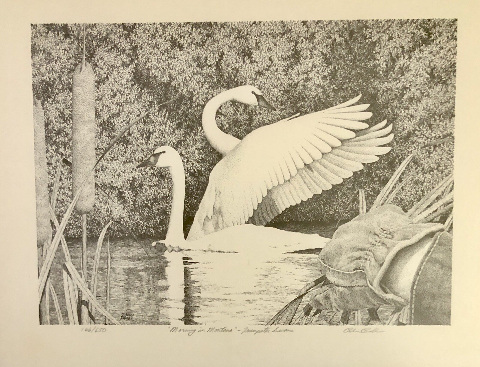 Picture 1 of 12
