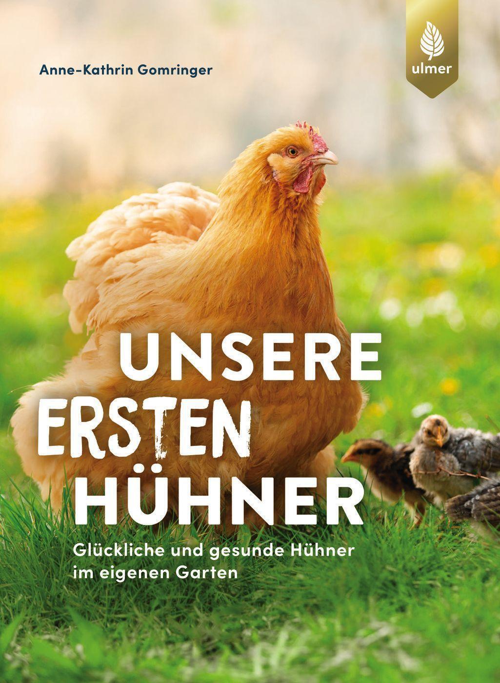 Thumbnail - Unsere Ersten Hühner | Glückliche & Gesunde Hühner Eigenen Garten.