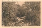 Picture 6 of 21