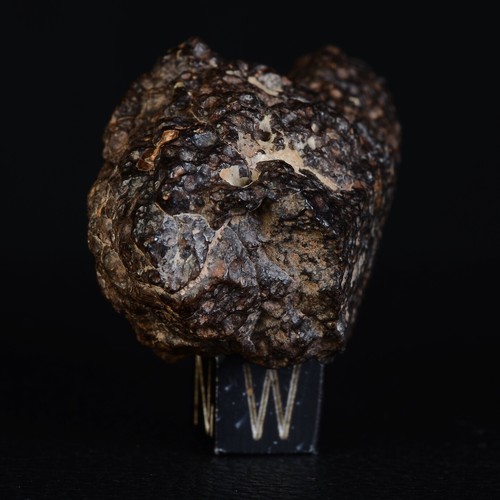 Météorite NWA 14161 de 47,82 g et son Livret Chondrite Carbonée Type CV3 - Picture 7 of 13