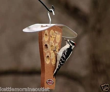 Kettle Moraine Recycled Milk Jug Peanut Butter Woodpecker Wild Bird Feeder 8331C
