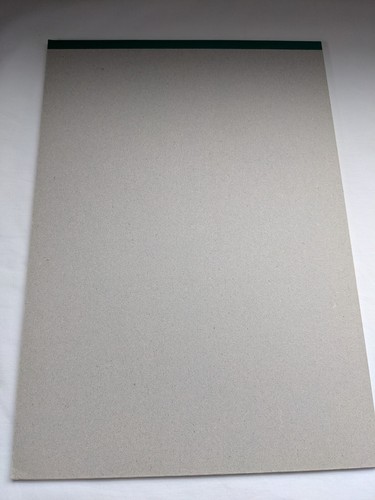 Kokuyo Campus Carta Manoscritta, Verticale 20x20, 50 Fogli, Colore Verde Rigato - Foto 4 di 4