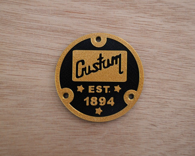 Les Paul Single Cut Electric Guitar Toggle Switch Back Cover For Gibson Epiphone
