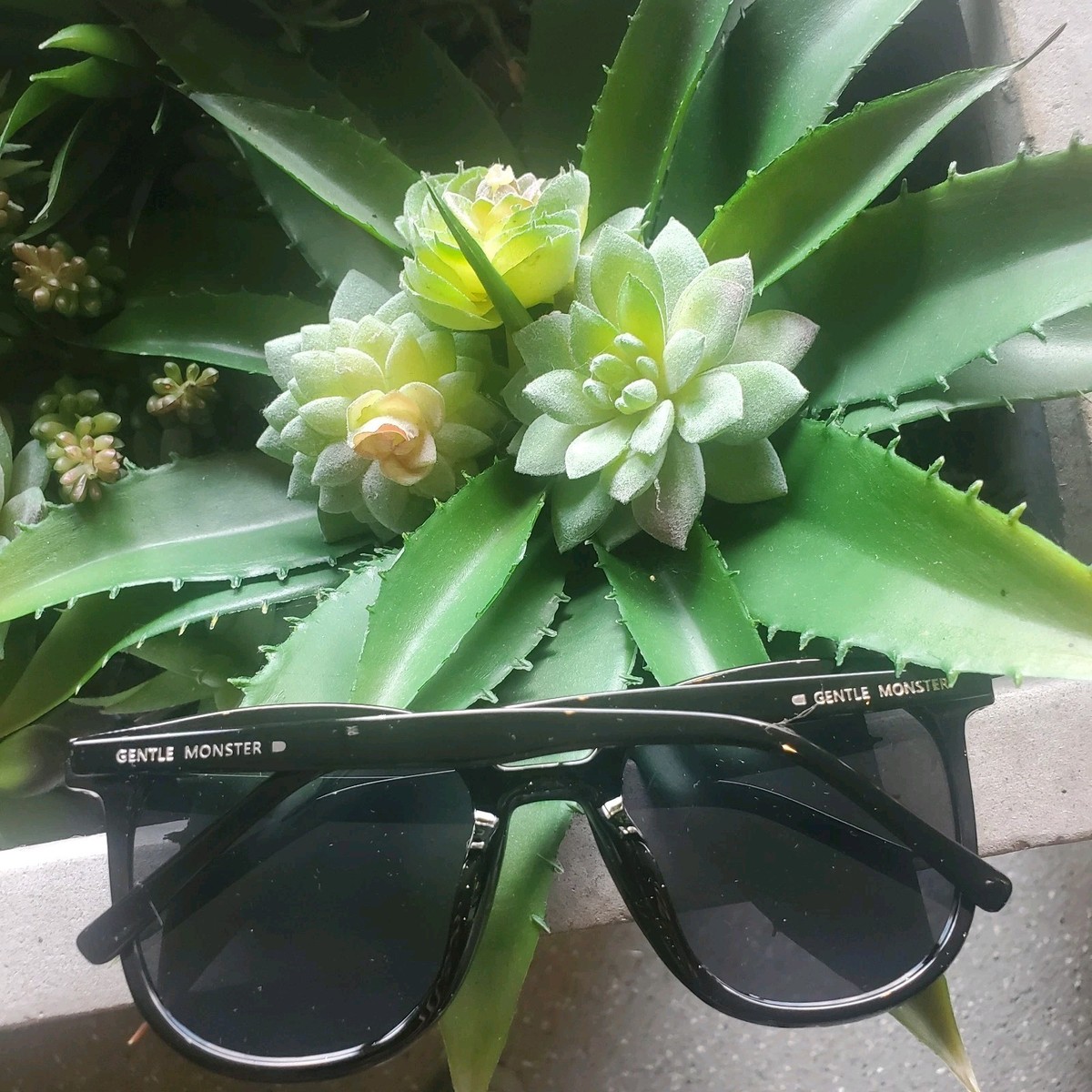 Gentle Monster Pino Black Square Frame Sunglasses w/ Black