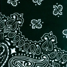 Carolina Hav-A-Hank Paisley Bandanna 22"X22"-Black