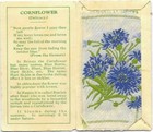 Afbeelding 139 van 157