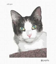 Cat Eyes Needlepoint Kit or Canvas