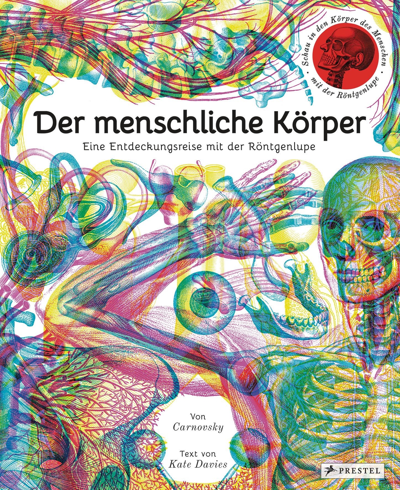 Thumbnail - Der Menschliche Körper | Carnovsky | Davies, Kate