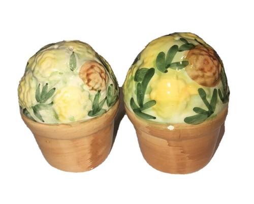Vintage ceramic salt and pepper shakers Potted flowers Fun