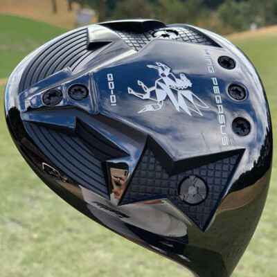 HEAD ONLY Qoid Golf Japan KING PEGASUS QD-01 Driver Deep face 2026