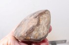 Petoskey Stone Fossil Coral Lapidary  7.5 oz. windowed rough lot P2 — photo 7