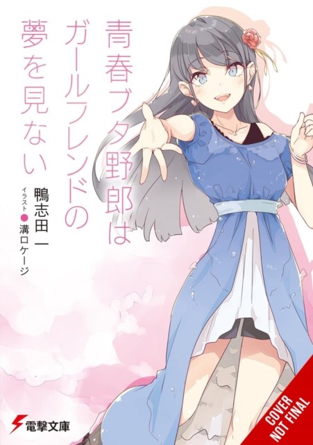 Rascal Does Not Dream of His Girlfriend (light novel): Volume 14 (Rascal Does Not Dream (Light Novel)) - Image 6