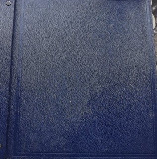 british commonwealth stamps in blue pegged stamp album