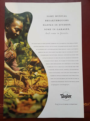 Taylor Guitars - Zeitschriftenanzeige #B7803