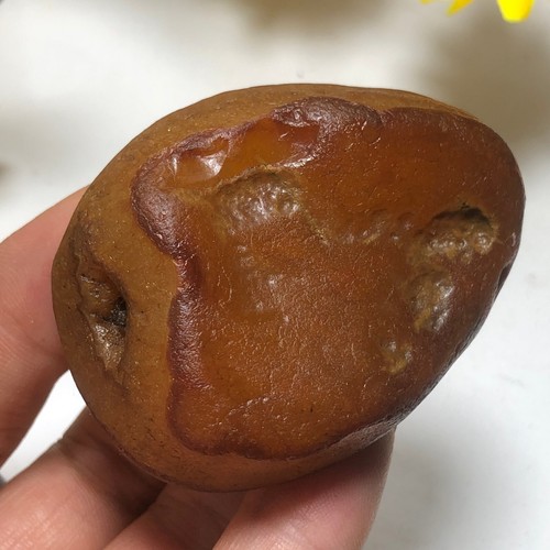 92g Bonsai Suiseki-Natural Gobi Agate Eyes Stone-Rare Stunning Viewing-E5 - Bild 18 von 20