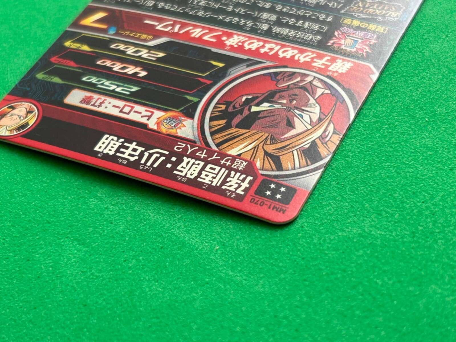 Picture 16 of 16