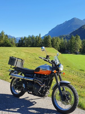 triumph bonneville scrambler 900