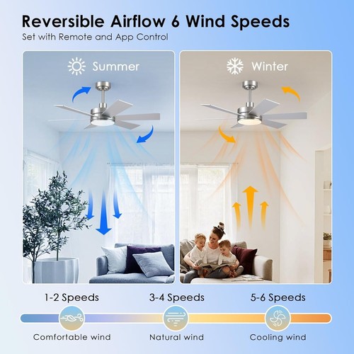 42" Ceiling Fan with Lights Remote APP Dual-Sided 6 Blades Reversible Nickel - Picture 2 of 6