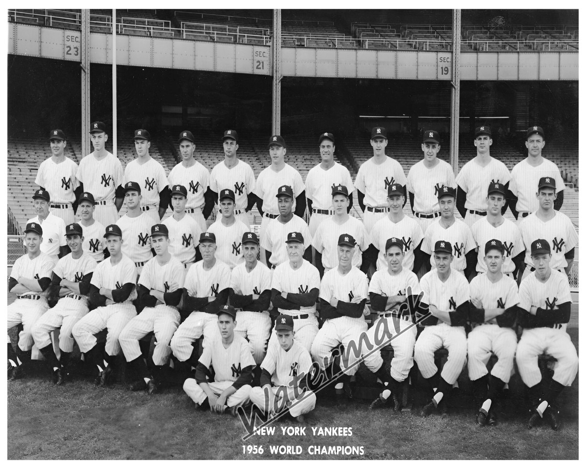 ヤンキース　集合写真 MLB 1956 World Champion New York Yankees Team Picture 8 X 10 Photo
