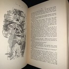 Picture 17 of 21