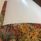 Foto 11 di 12