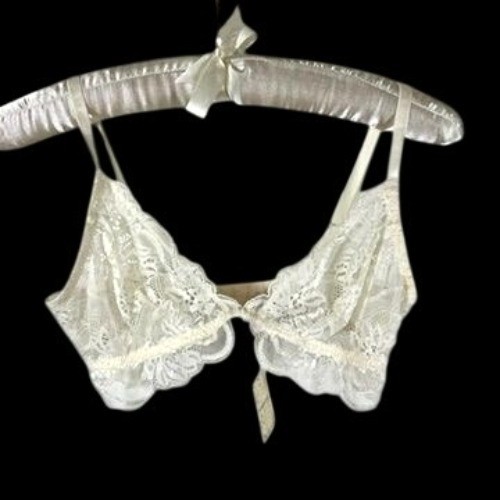 NWT Free People Intimately Ivory Lace Bralette Sheer Floral Triangle Bra XS