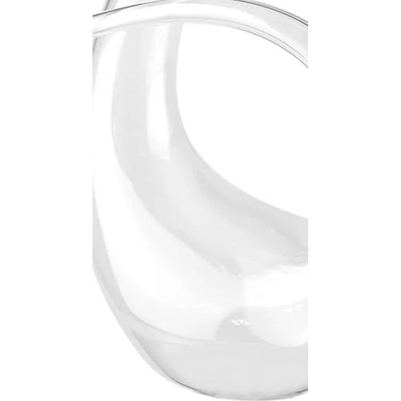 Decanter Vino Cigno in Vetro 1,33 Litri BRANDANI Design Elegante Caraffa Tavola, fotografia 8 di 9