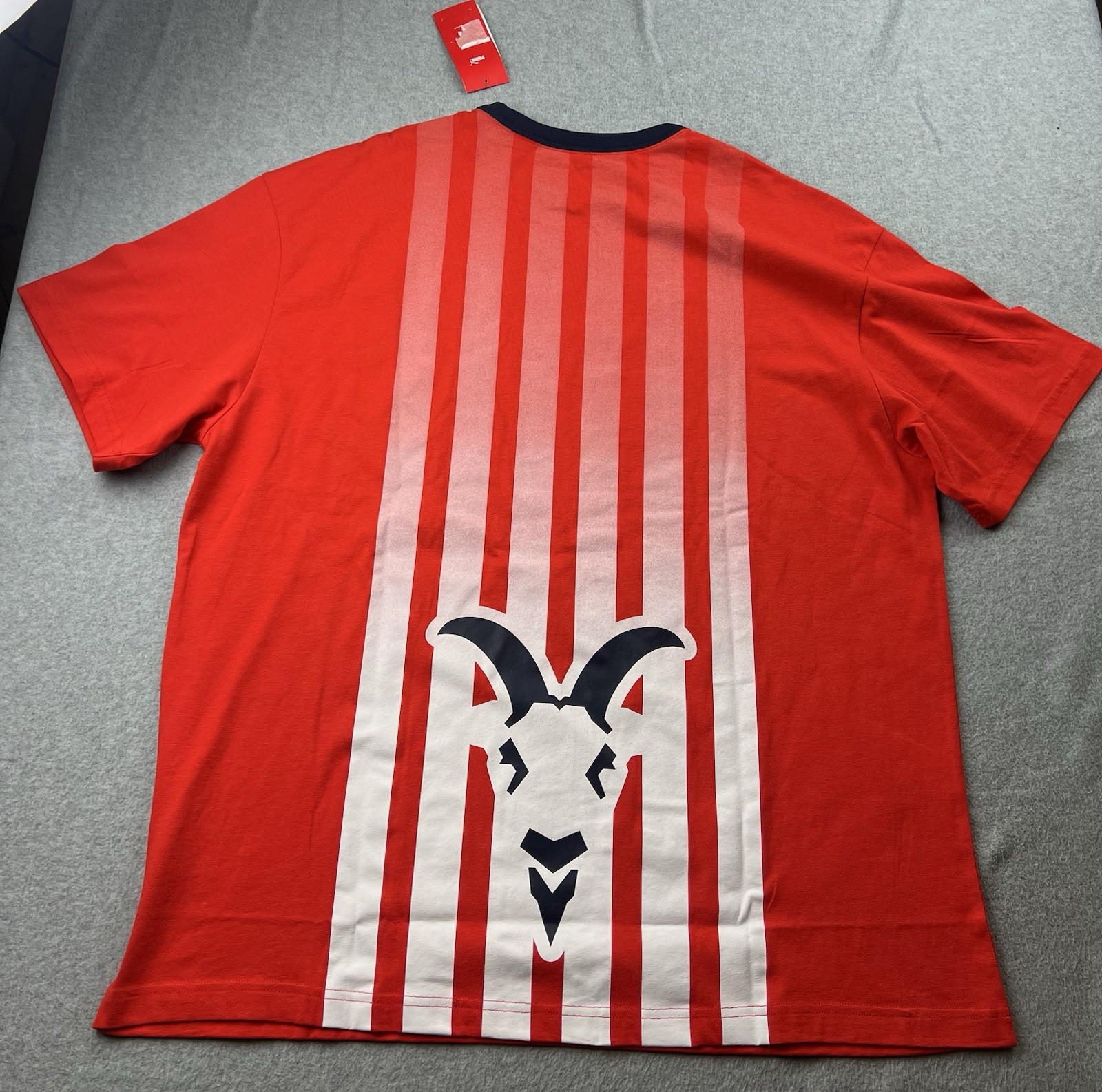 Puma Chivas de Guadalajara Graphic RELAXED Fit T-Shirt Men’s Sz XL 78600711 NWT