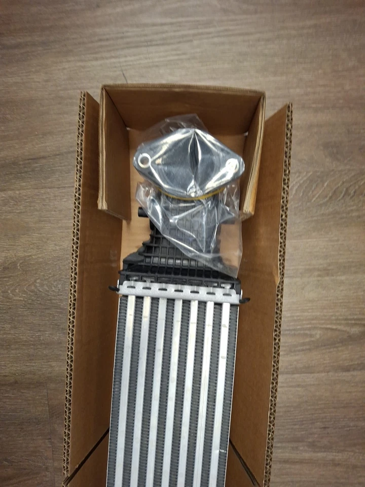 Honda Civic Inter Cooler 2022- Foto 2 de 4