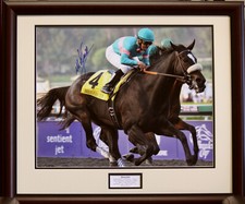 Zenyatta 2009 Breeders' Cup Classic 16x20 Signed Framed Mike Smith
