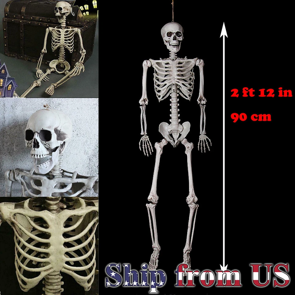 Calavera posable de terror de Halloween de 5 pies 5" esqueleto humano tamaño natural fiesta utilería difícil Foto 2 de 2