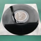 Foto 12 di 12