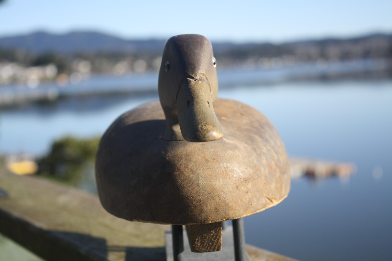 Black Duck decoy by Wildfowler, Old Saybrook, Ct., stamp, OP, glass