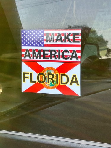 Make America Florida 4"x4" Vinyl Decal Sticker - Picture 3 of 4