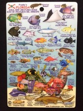 FLORIDA REEF CREATURES GUIDE FRANKO MAPS LAMINATED CARD By Franko Maps Ltd. NEW