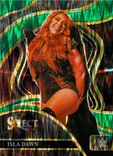 2024 WWE Panini Wrestling Select Trading Card Specials! You pick 1!