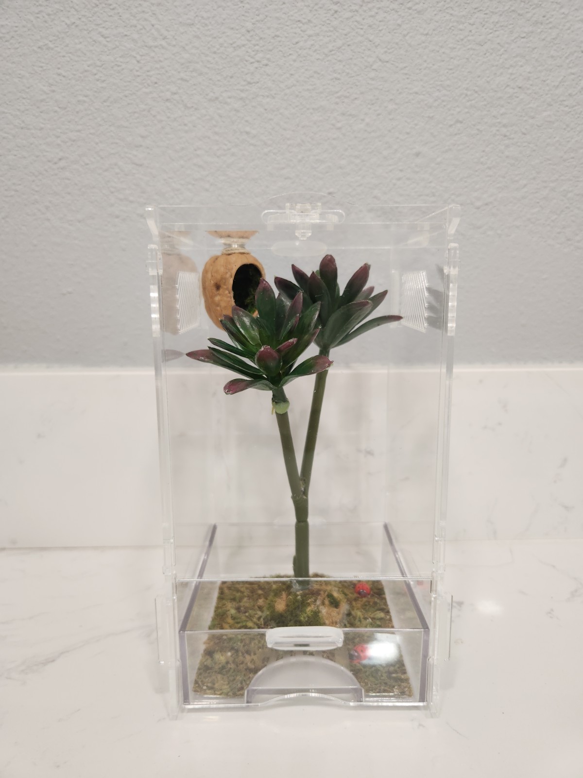 Zilla Micro Habitat Terrarium, Arboreal, with Locking Latch