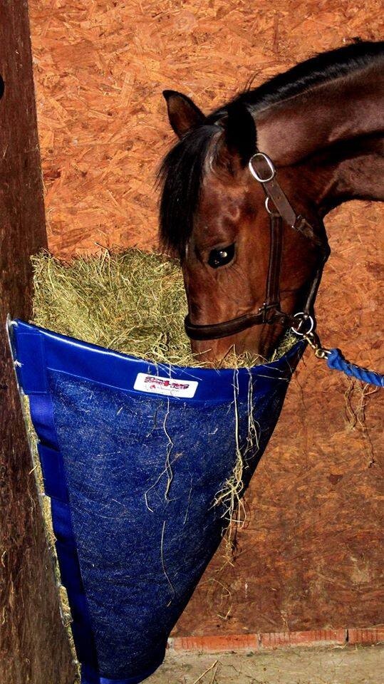 HAY FEEDER/HAY BAR***FLEXIRAC***BREATHABLE/FLEXIBLE, Corner hay feeder